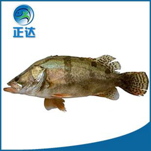 ���ع������B���~�~�� ���NҎ��ˮ�a���~�����l