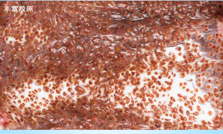 海藻面膜详情_05