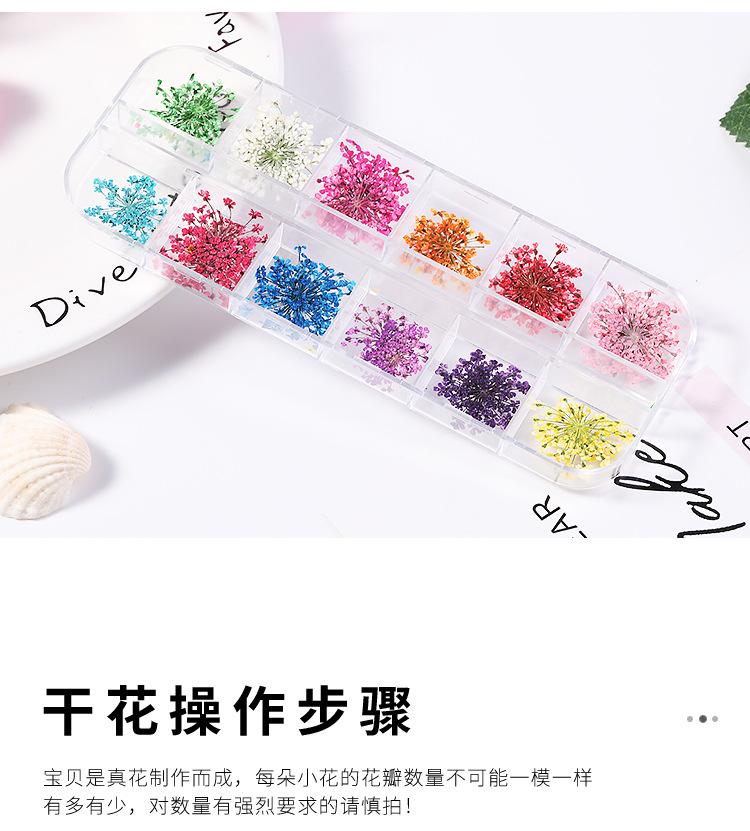 美甲干花 蕾丝干花 水仙花