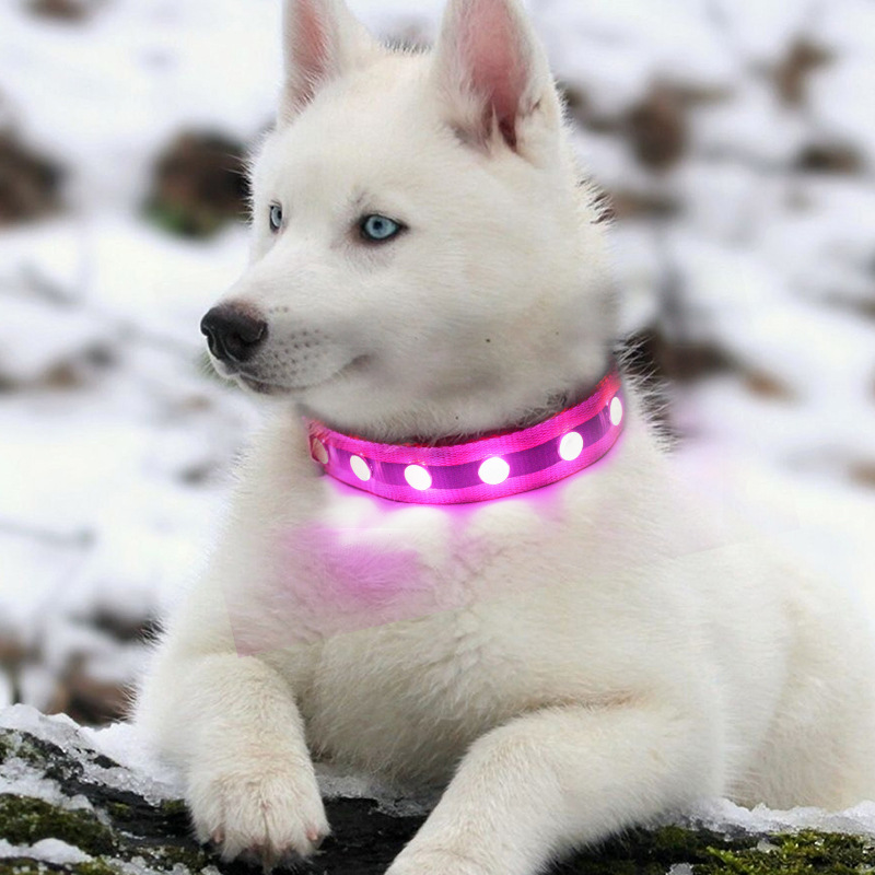 宠物用品猫眼灯USB充电LED发光项圈大中小型犬宠物脖围狗狗颈围圈
