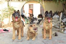 ǹ˱ ͯw^̈[ Ƥë̌WģӰҕ