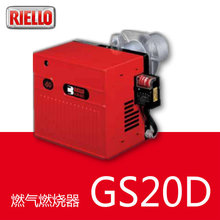 GS20D | 20f ȼȼ RIELLO/· λ 