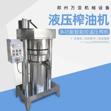 廠家供應小型液壓茶籽壓榨機 立式花生菜籽榨油機 液壓商用香油機