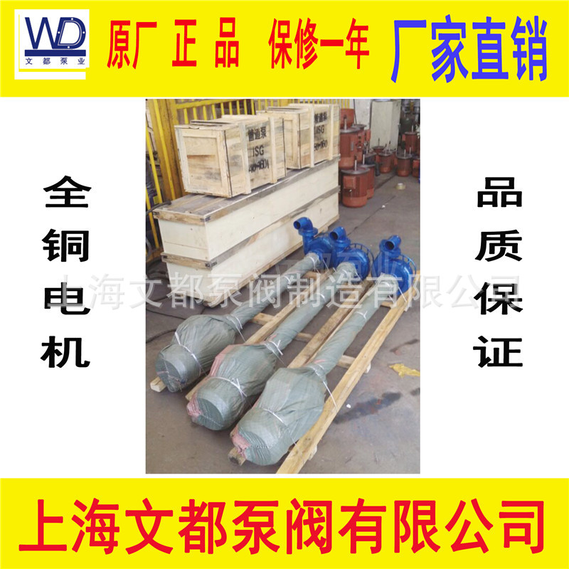 厂家直销NL100-16型不锈钢液下泥浆泵防爆液下污水泵长轴泵吊泵