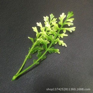 ���滨������� 13���׃ɲ�����ˮ�� �z��ˮ����� �S��ֱ�N