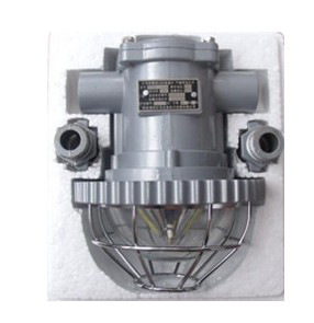 矿用隔爆型LED防爆灯DGS18/127 24/127 矿用巷道灯加油站地下隧道