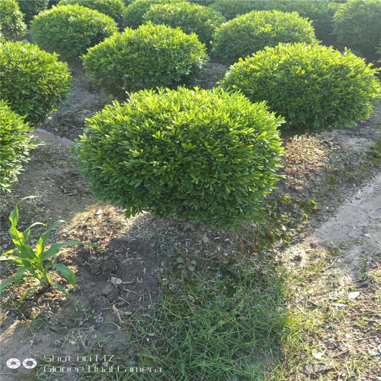 微信图片_20190924001130