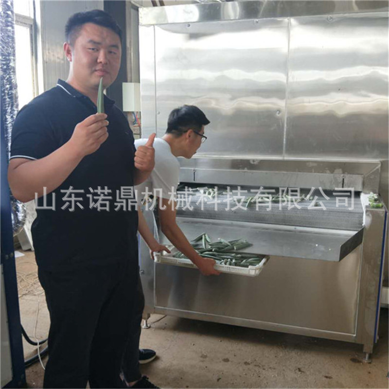 蘑菇速冻机 大型果蔬快速冷冻设备 通过式平板速冻机流水线大产量