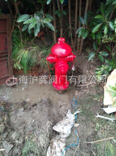 ��������˨ ɽ�|��������˨ ��������˨ ˮ�ýӺ��� SS100/65-1.6