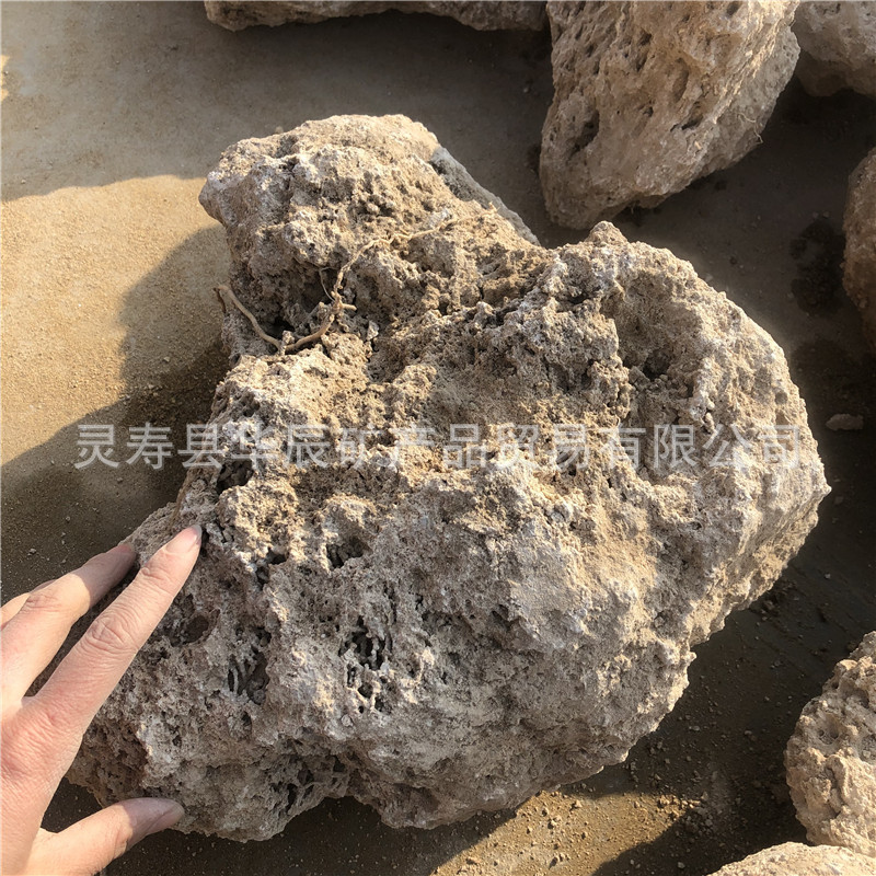 矿山直供盆景假山造景雕刻用 吸水石 麦管石 上水石 原石量大价优