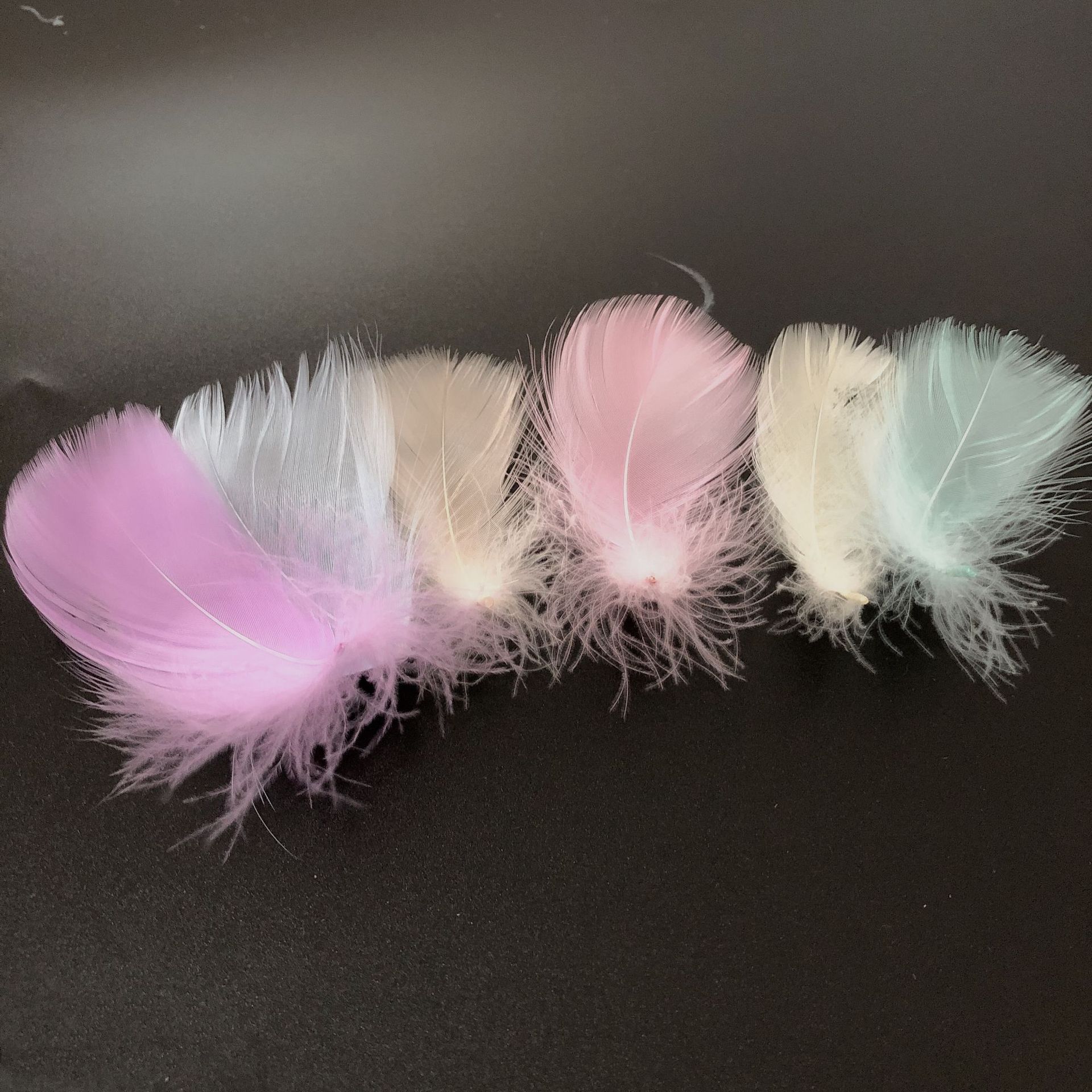 马卡龙中飘羽毛