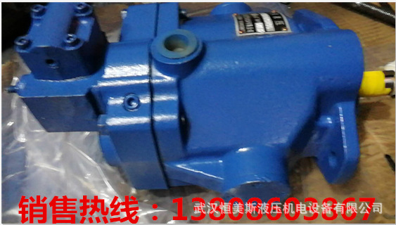 变量柱塞泵P2105R00C5C10PA00N00S1A1U