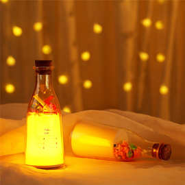 新款牛奶瓶伴睡灯漂流瓶小夜灯七彩氛围灯情人节浪漫礼物许愿瓶灯