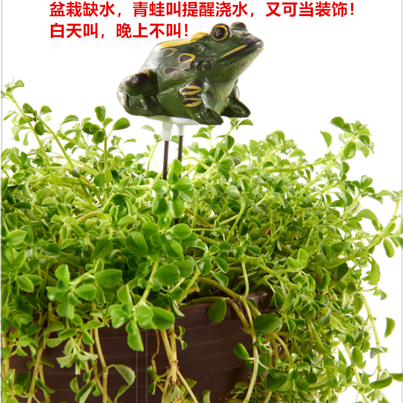 亚马逊跨境电商产品小鸟青蛙植物盆栽土壤水分湿度探测器养花用品