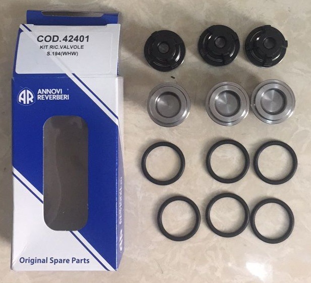 COD.42401 WHW15.20 WHW21.25   单向阀组件 AR热水泵 配件