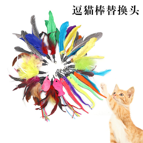 Manufacturer wholesale cat teaser replacement head, cat teaser feather replacement head, pearl big bird cat teaser accessories