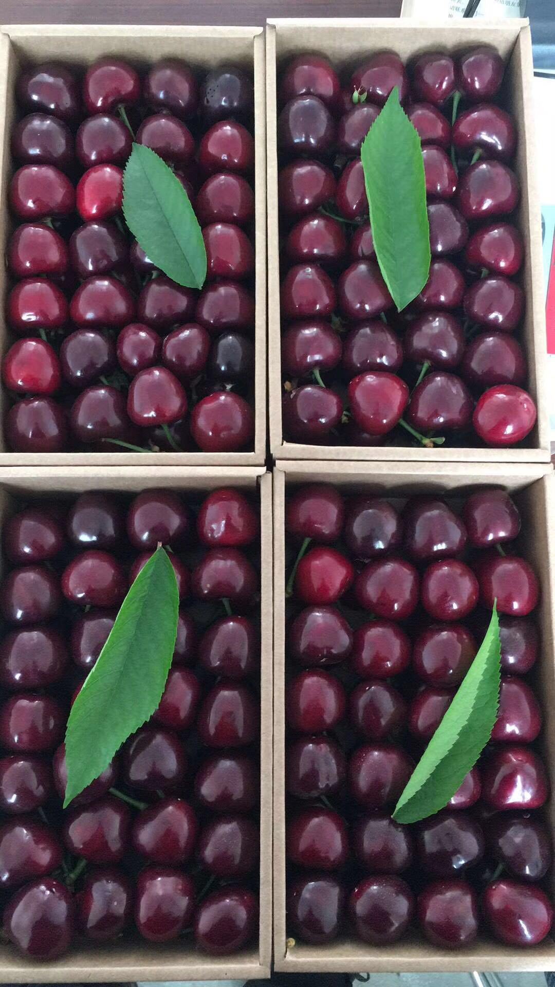 微信图片_2019032111155611