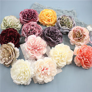 WʽĵWʽоĵ滨ٻcbҾӰbSl