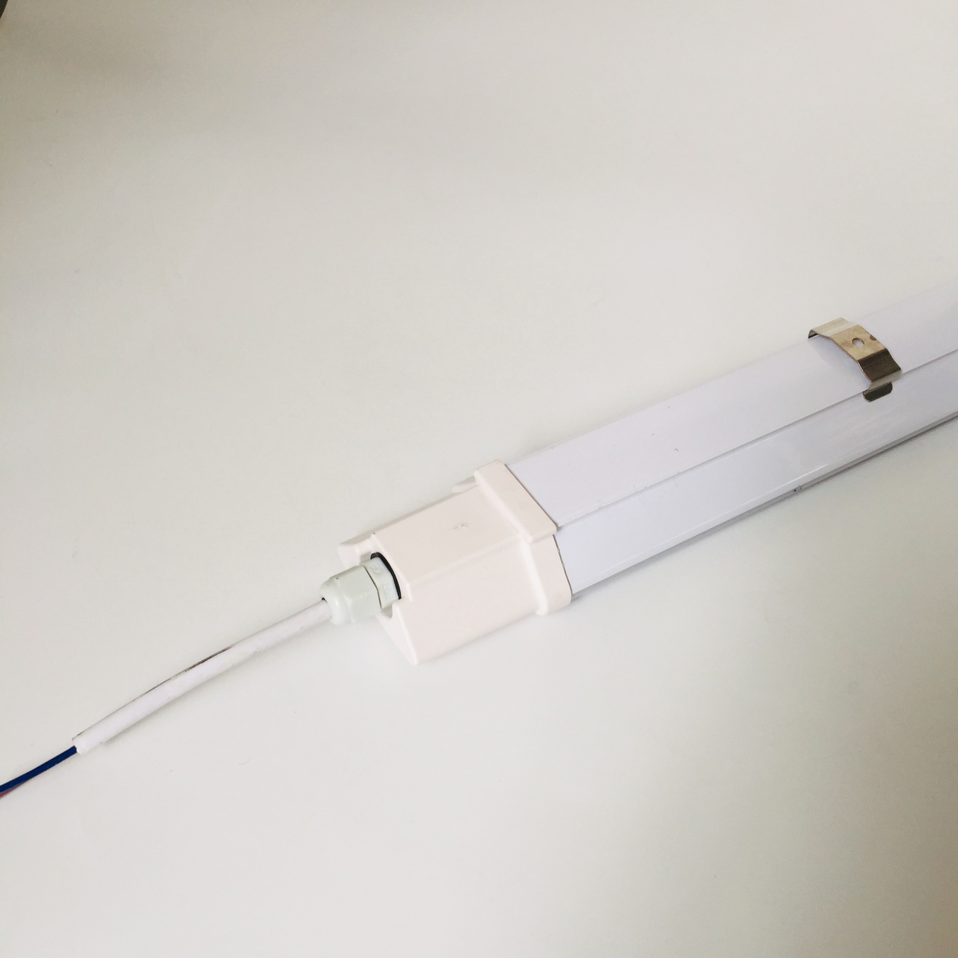 2019_11_26_10_36_IMG_0871