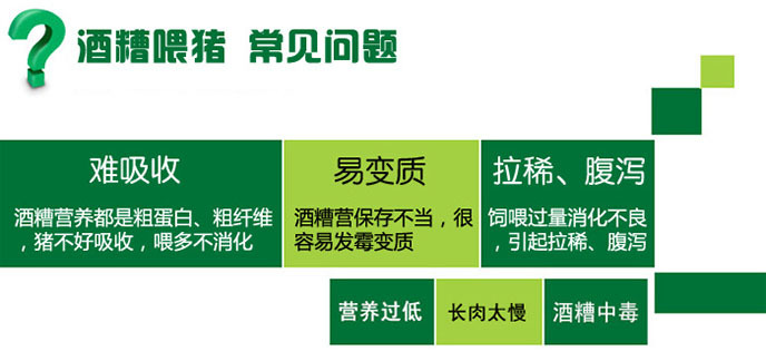 养猪场发酵酒糟降低饲料成本技术详解