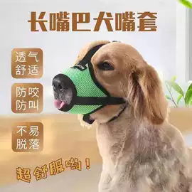 宠物项圈;嘴套;狗狗牵引