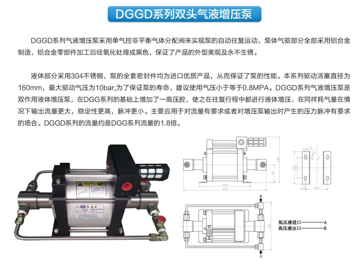 DGGD��B1
