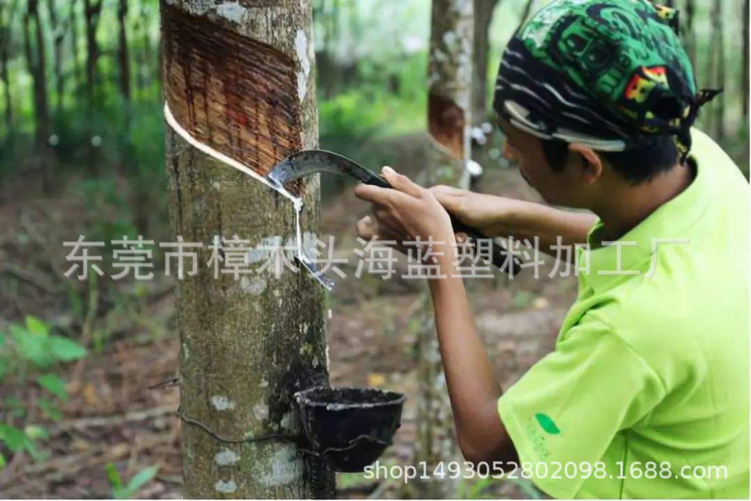 巴西天然橡胶,天然橡胶烟胶片,天然橡胶割胶_大山谷图库