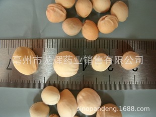 ���|�r�aƷ��ș�ĳ��ڼ��e���^��� ����� ���Һ� ������