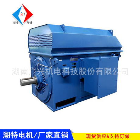 三相异步高压电机 Y5602-8/900KW/6000V 可供需求定制