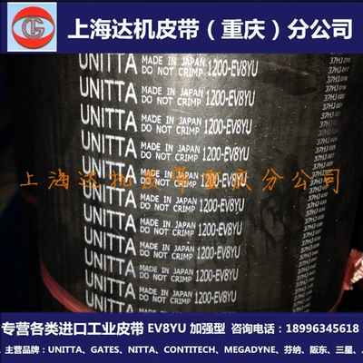 Spindle Belt Japanese Avtomobil ötürücü kəmərləri