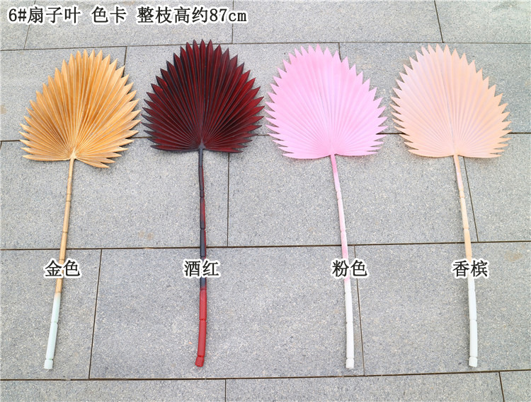 批发 圆形扇叶 仿真 居家软装森系北欧植物装饰 大蒲扇叶-阿里巴巴