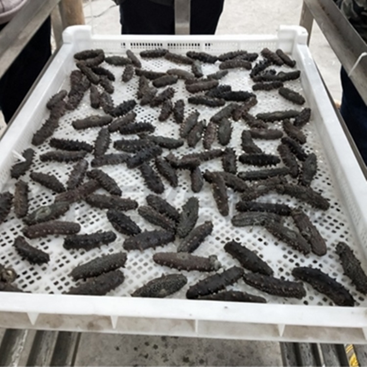 ���ҹ����������ܿ����ܺ�ɻ� �ȷ�ѭ�����κ�ɷ� ��ʪ��