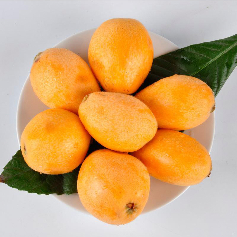 秒杀枇杷5斤装
