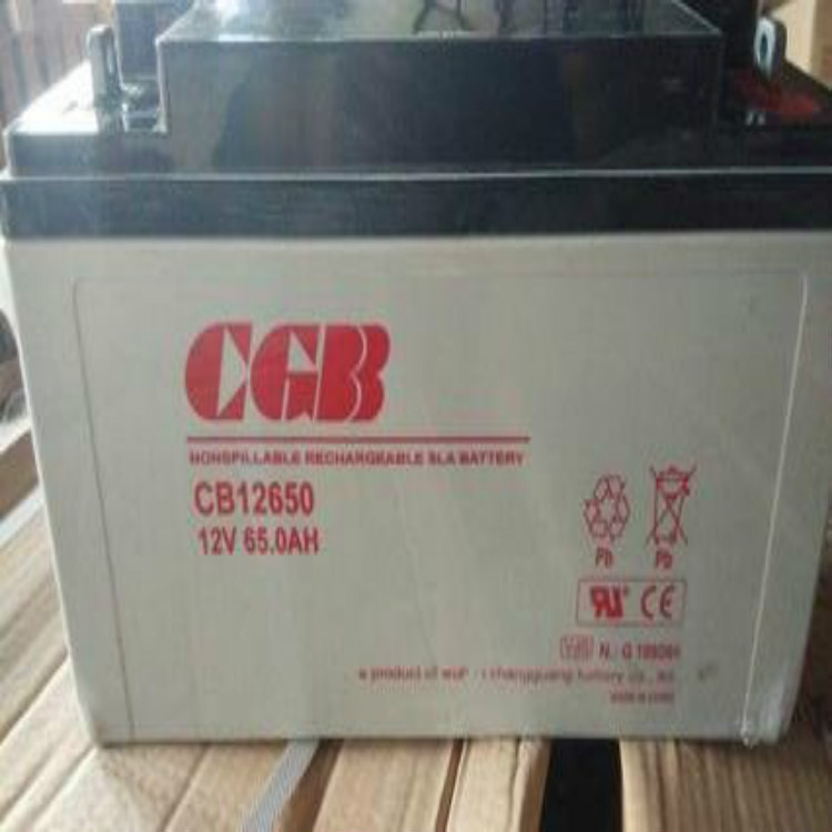 CGB长光蓄电池CB12550 12v55ah 太阳能/风能/UPS电源/照明用 现货