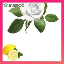 添金利insilico 感香粉 長效芳香粉 持久自然 摩擦起香 日常香料