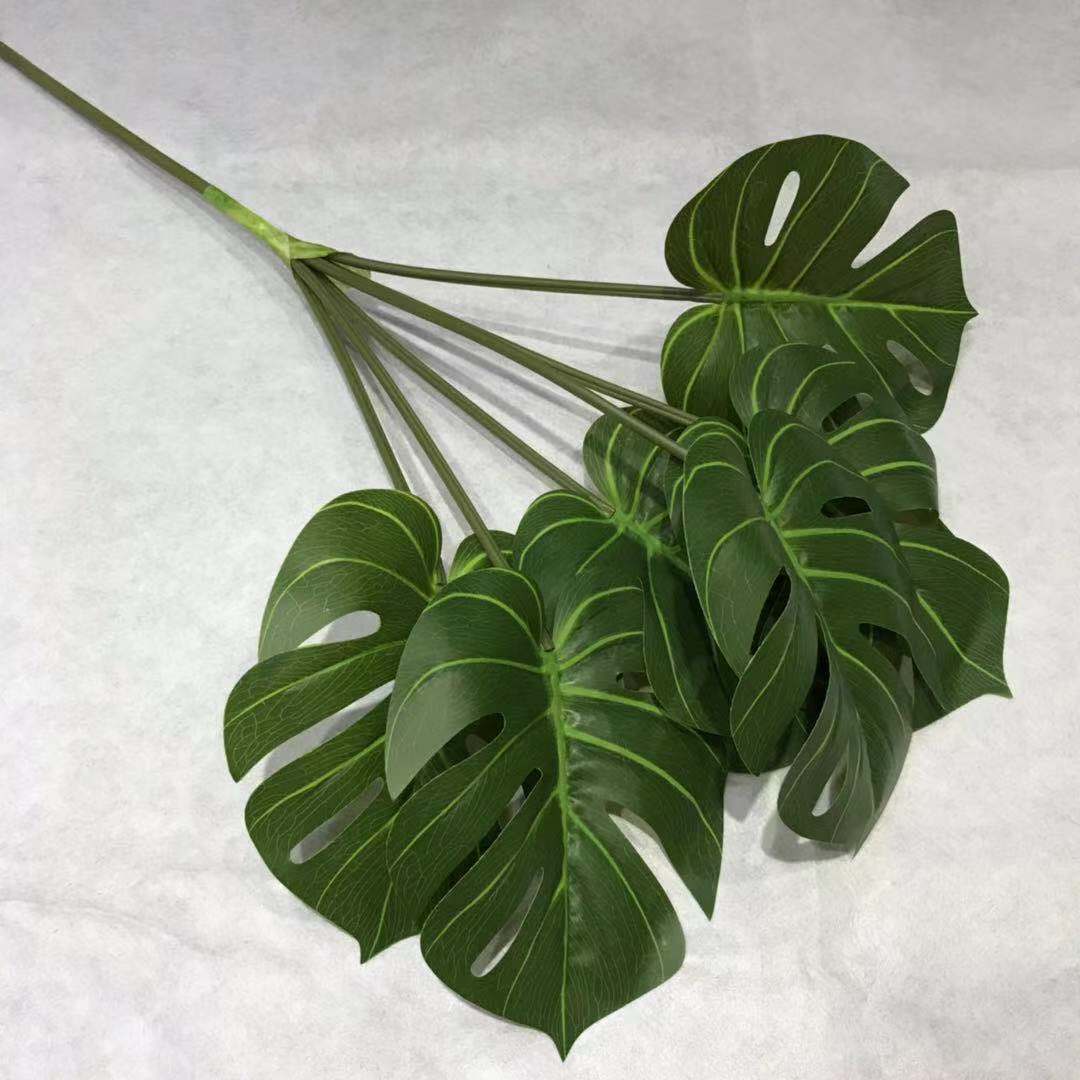 74df8c88a8fc007c4acb295034c77b