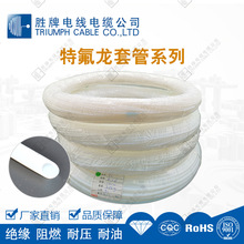 PTFE F46ط 10*12