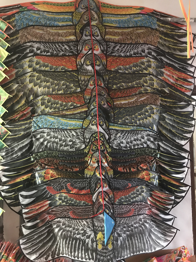 11956828325_379416190