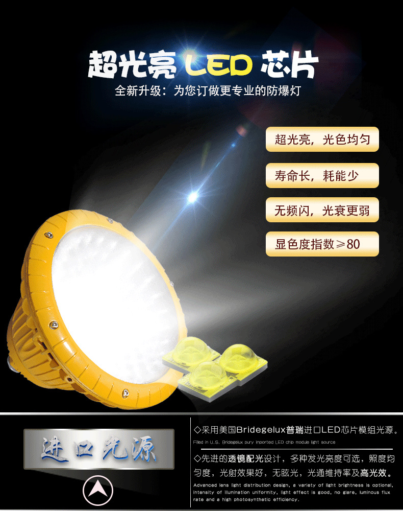 直销 TCD6215 防爆免维护节能LED照明灯 防爆灯 LED防爆灯