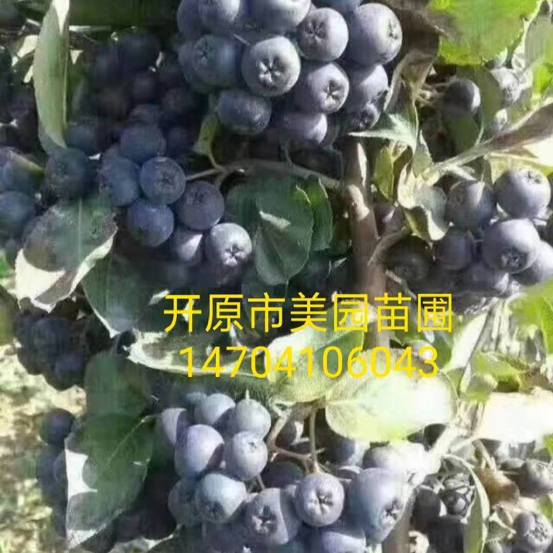 微信图片_20190223114846