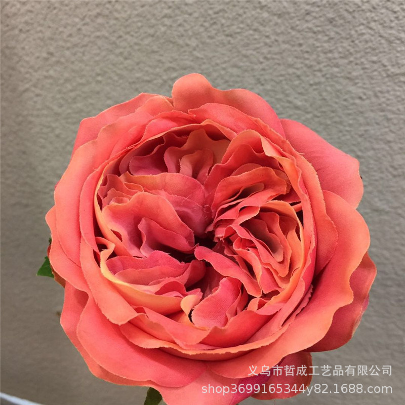 微信图片_20190215211546.jpg