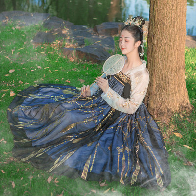 Women Chinese Hanfu female chinese princess fairy dresses full chest Ru skirt ancient photos shooting drama cosplay dresses