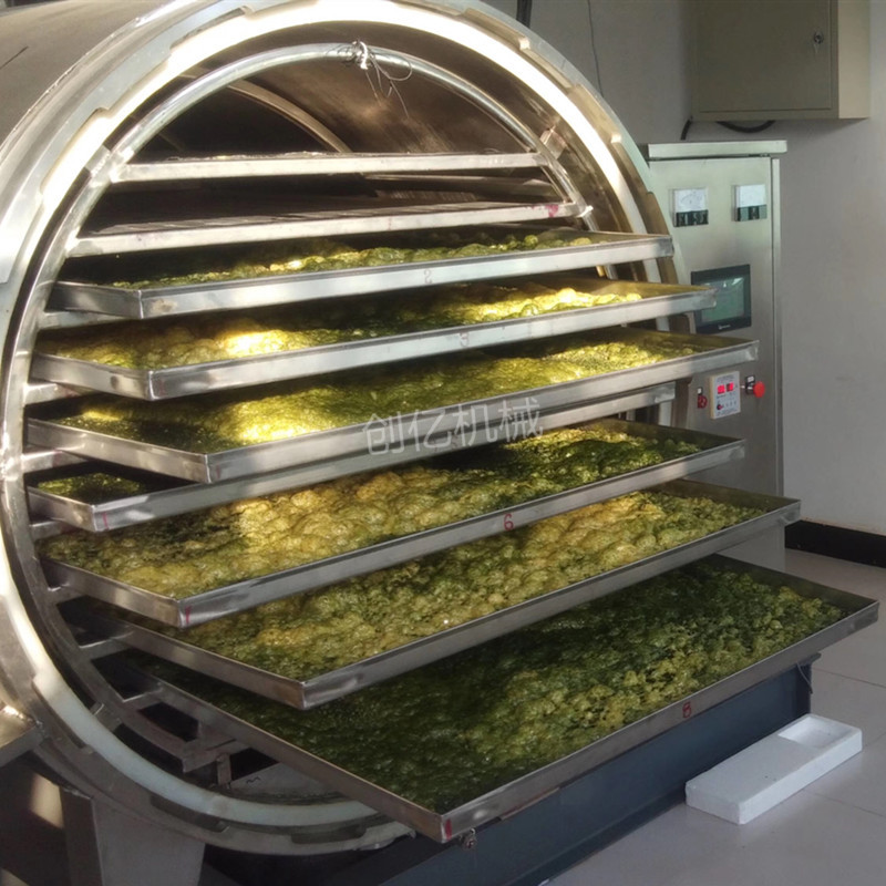 现货 蔬菜粉真空冻干机 10平方水果专用真空冷冻干燥机 传导式