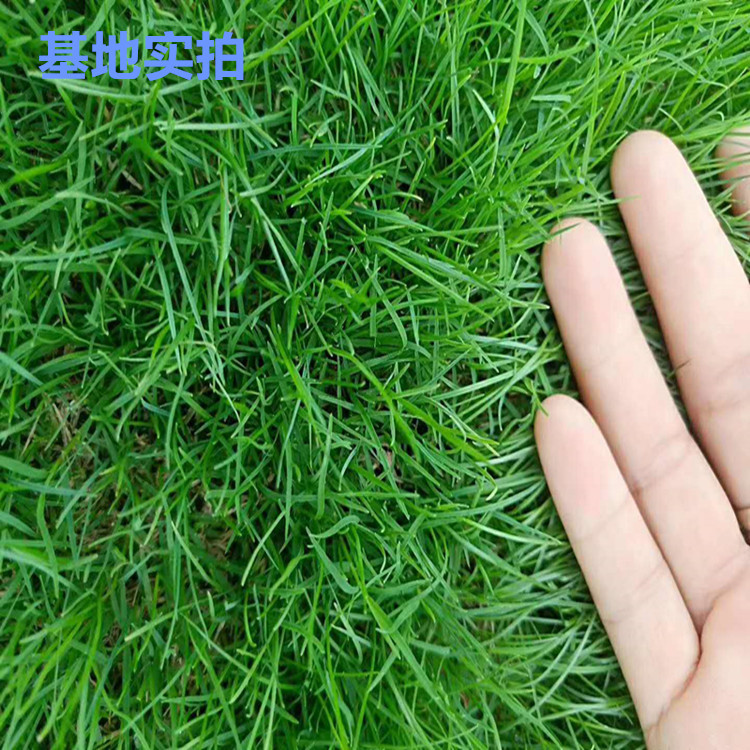 394436573828b21a3c3566095890b9