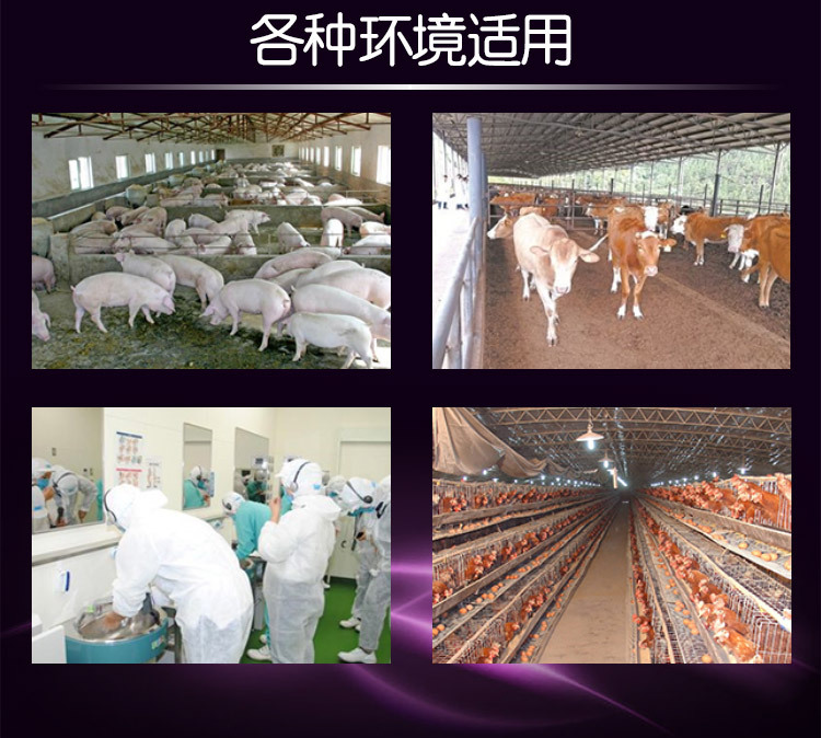 鞋底消毒槽A详情页 (4).jpg