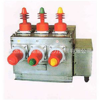 批发销售ZN63（VS1）-12户内真空断路器高压真空断路器|ru