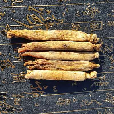 产地新货整枝高丽参红参整支条礼盒装精选长白山30头一斤特价