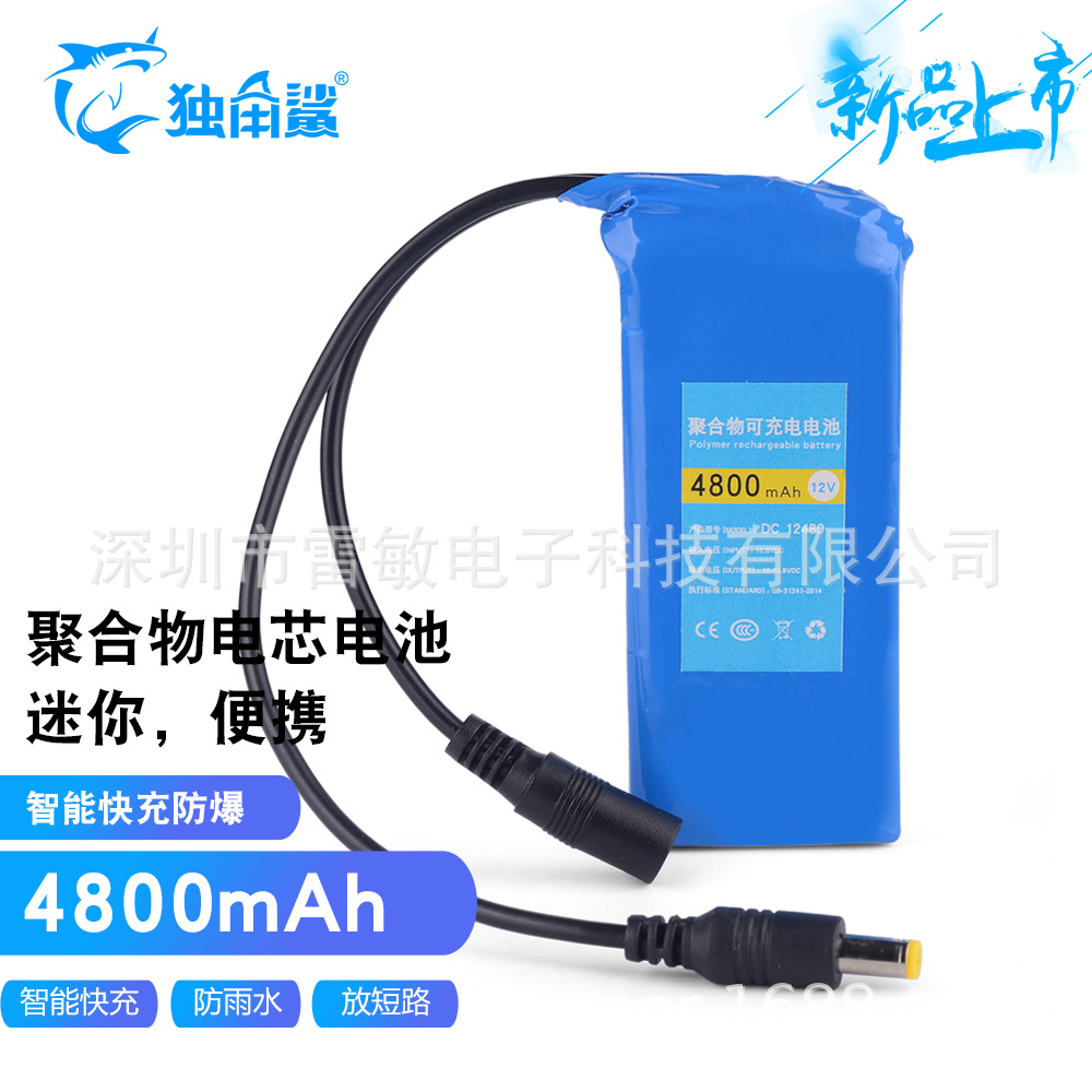12V4800ma聚合物小尺寸便携式可充锂电池