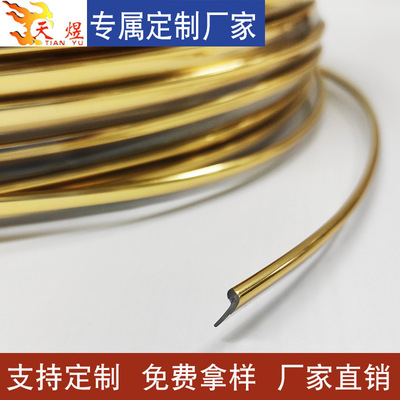 广东天煜PVC箱包胶骨 p型塑料箱包胶条 环保材质金色银色胶骨条