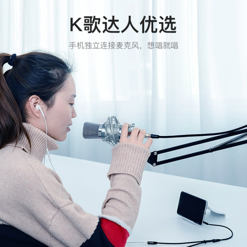 Wisen Cross-border Supply BBV Series Splitter Audio Cable - Metal Black Male Plug - Four Sections